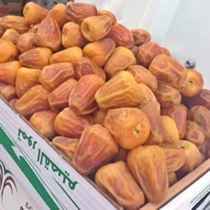 সুক্কারি খেজুর – মিষ্টি, নরম ও ফ্রেশ ডেটস প্যাক ( 3 kg )